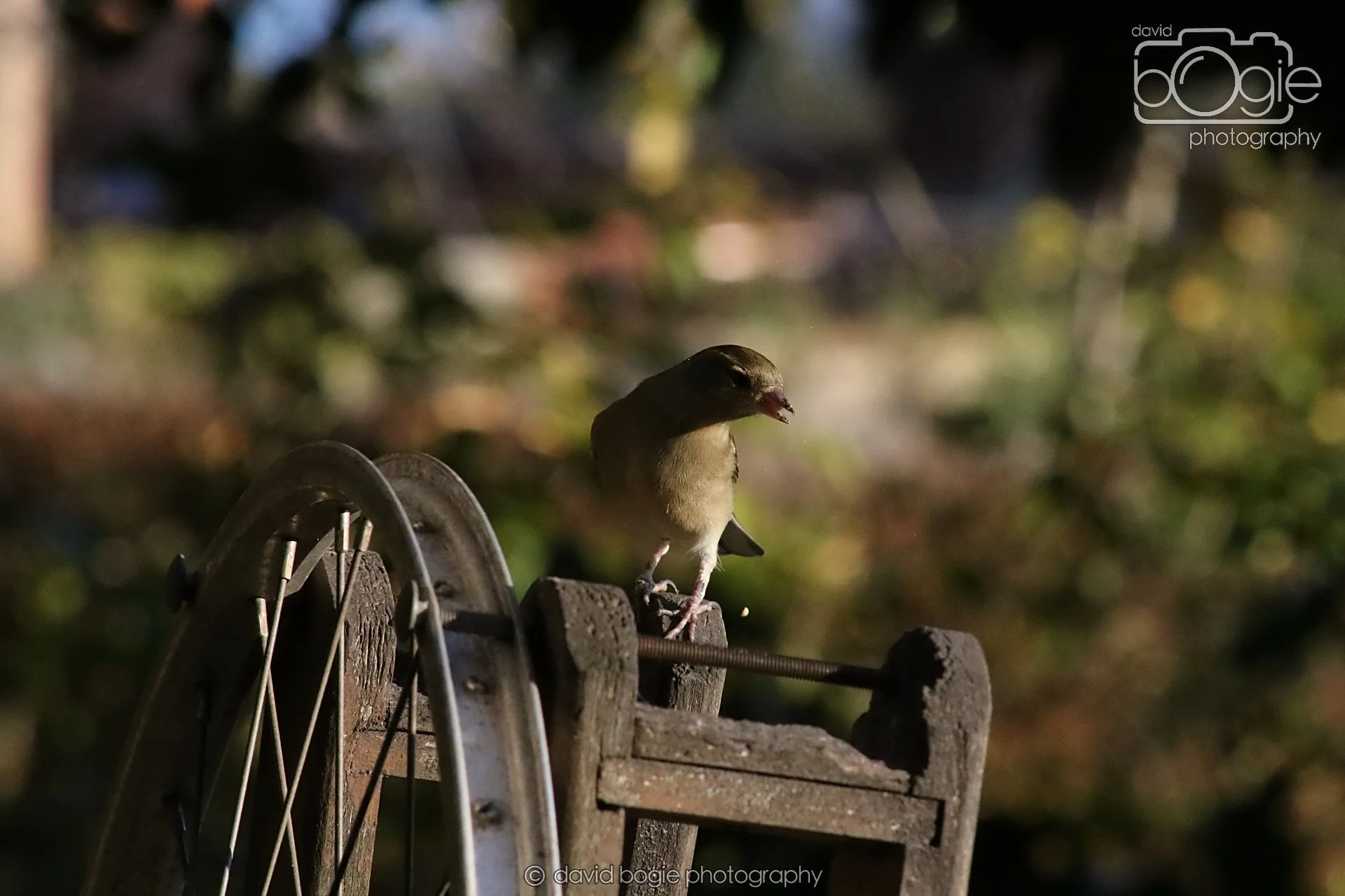 20251125 141333 Silverburn 0645.JPG