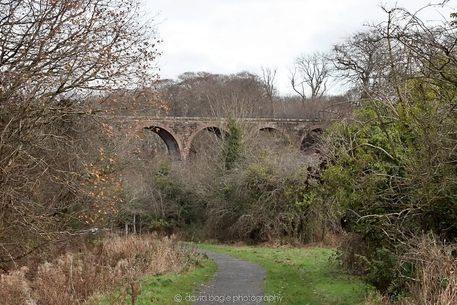 YEAR20251205 133814 East Calder 0085.jpg