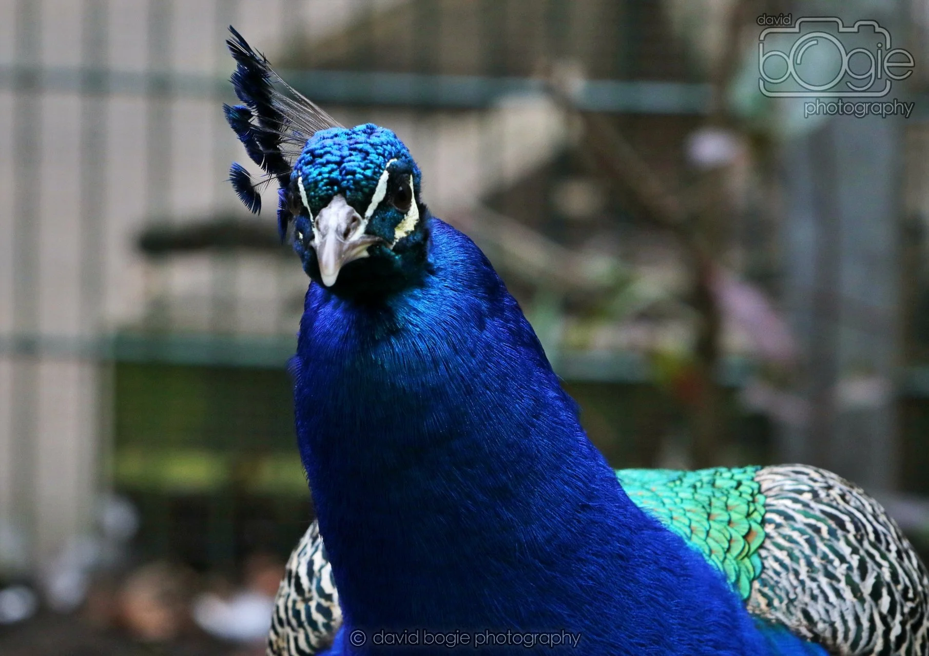 20260324 123352 Pittencrieff Park 0235.jpg