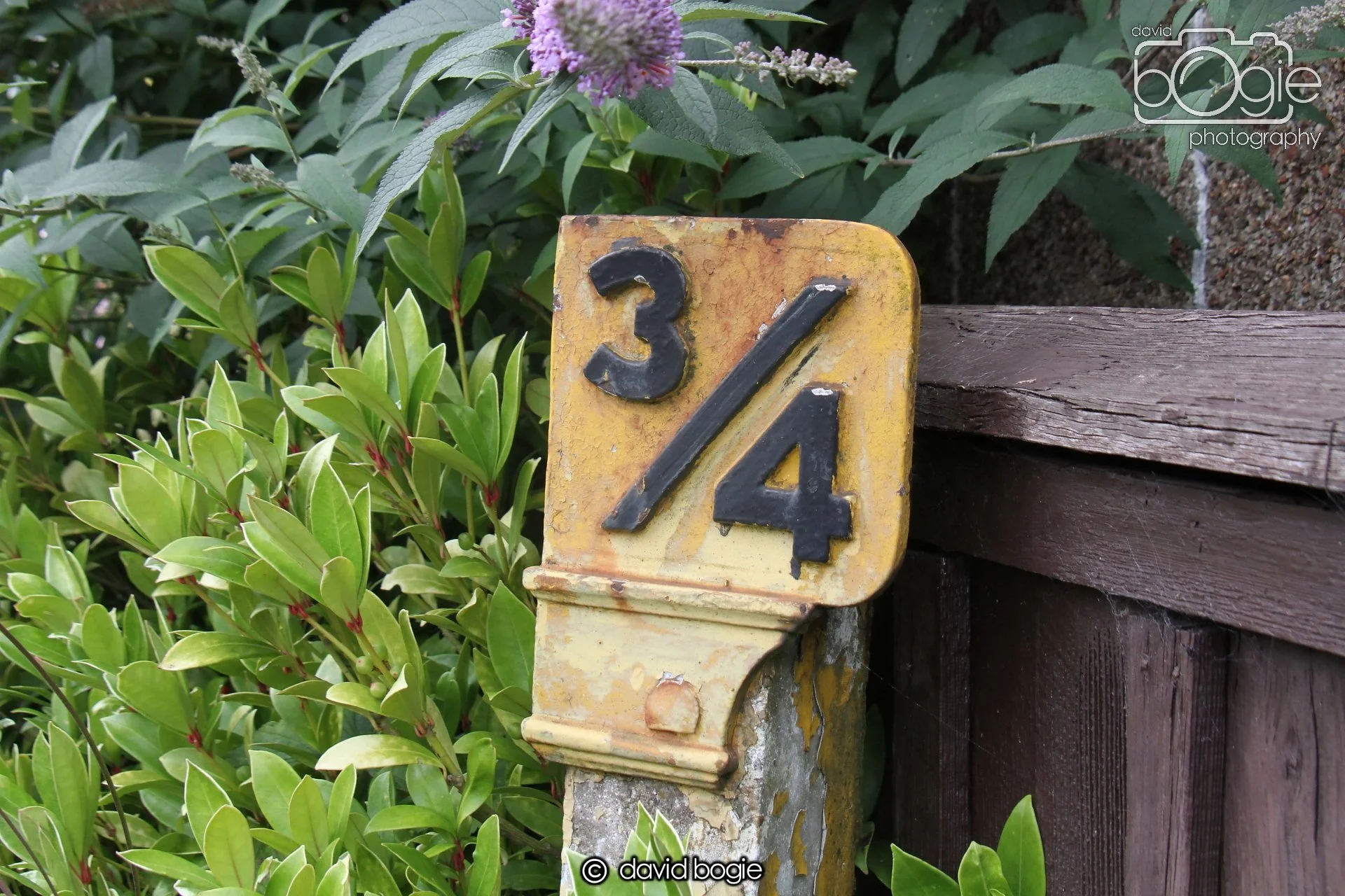 20230814 Kinghorn 134145 0171.jpg