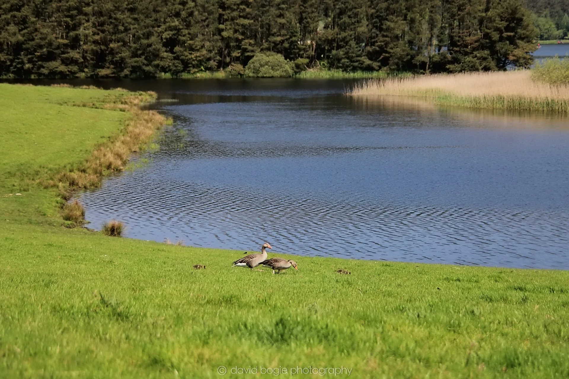 20210530 Lochore 8.jpg