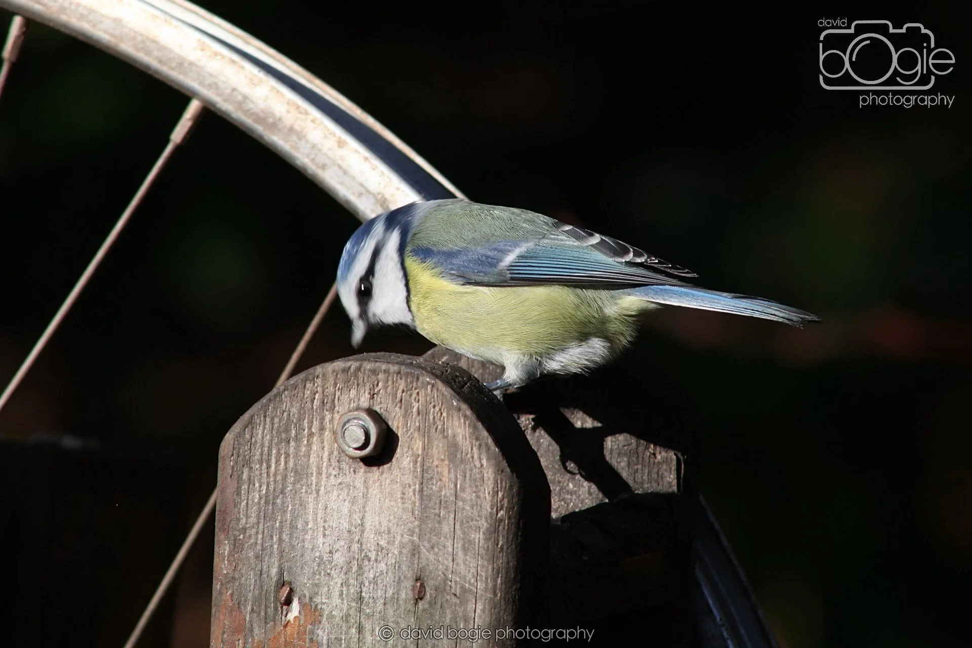 20251125 134056 Silverburn 0141.JPG