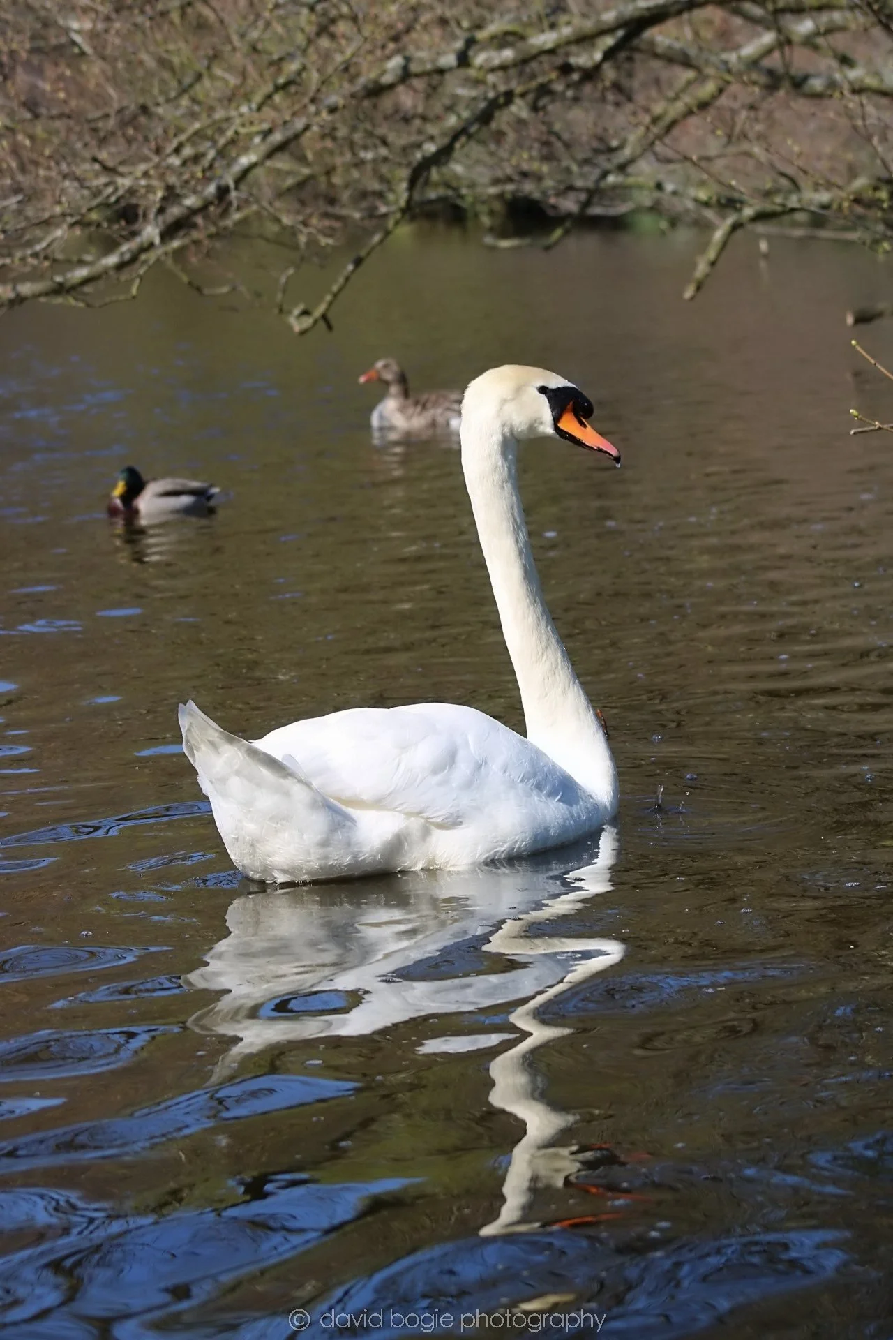 20190411 111725 Otterston 0020.jpg