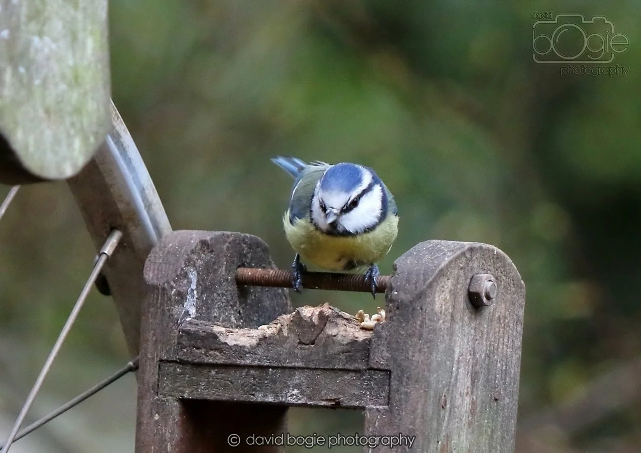 20260215 131754 Silverburn 0075.jpg