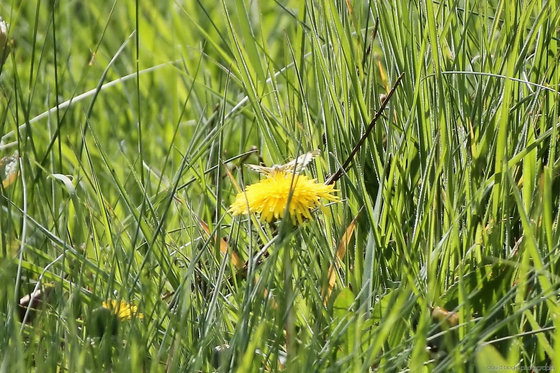 20260426 125424 Bus Bundle 0139.jpg