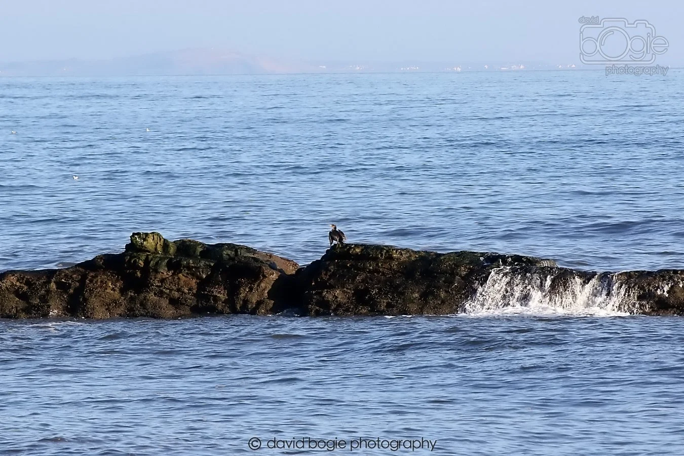 20260119 124256 Kirkcaldy 0015.jpg