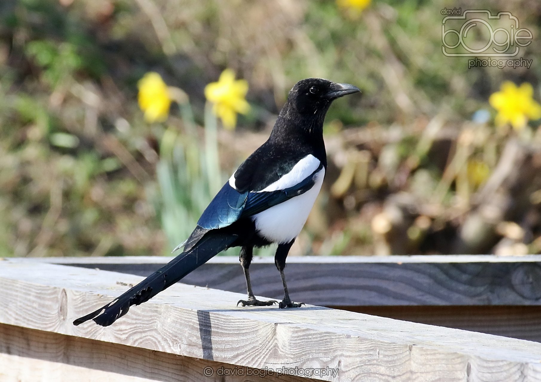 20260319 114940 Beveridge Park 0186.jpg