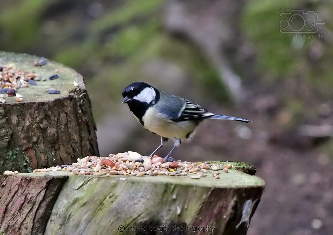 20260309 115027 Dunnikier 0421.jpg