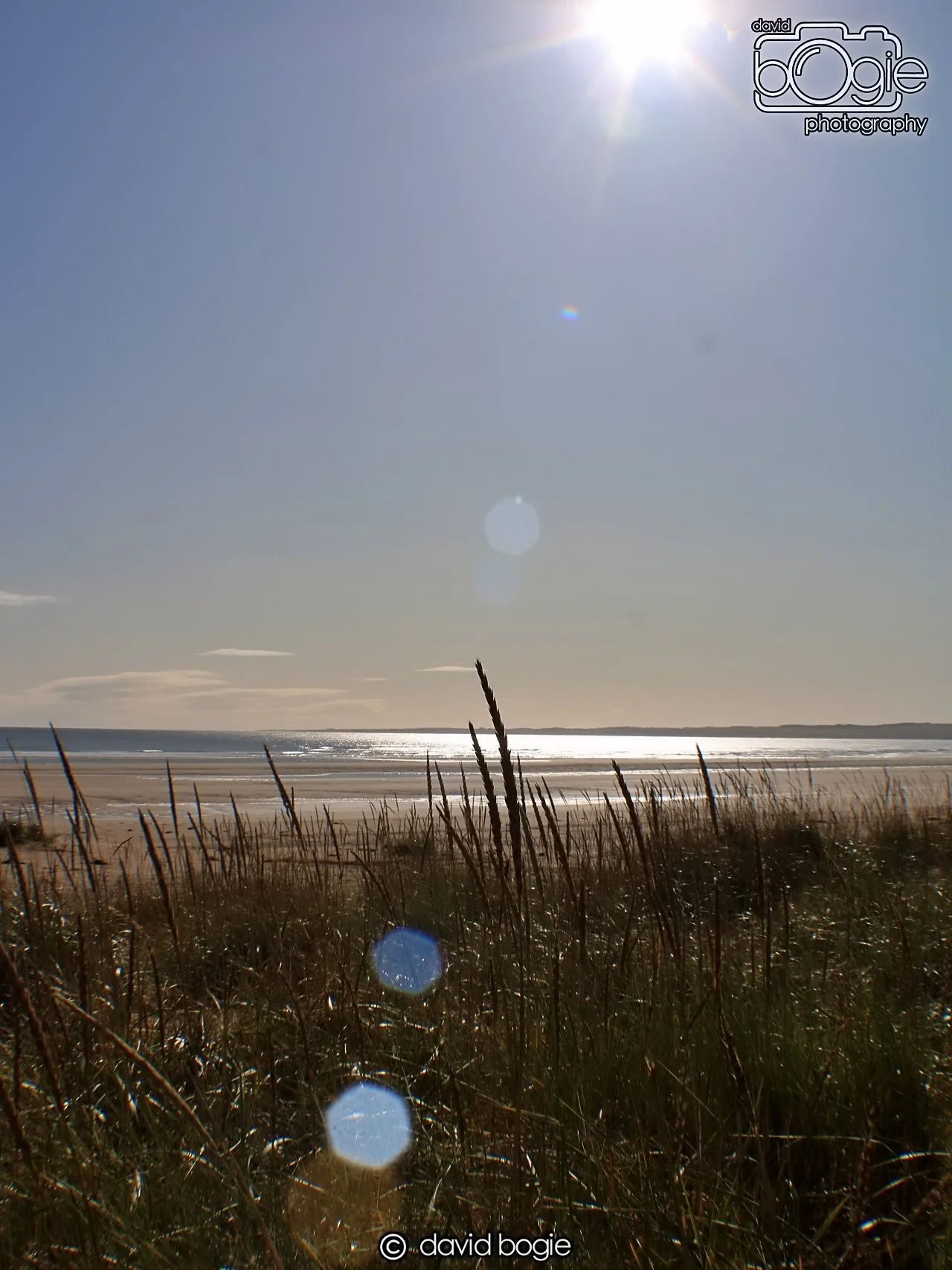 20191002 111917 Tentsmuir 0041.jpg