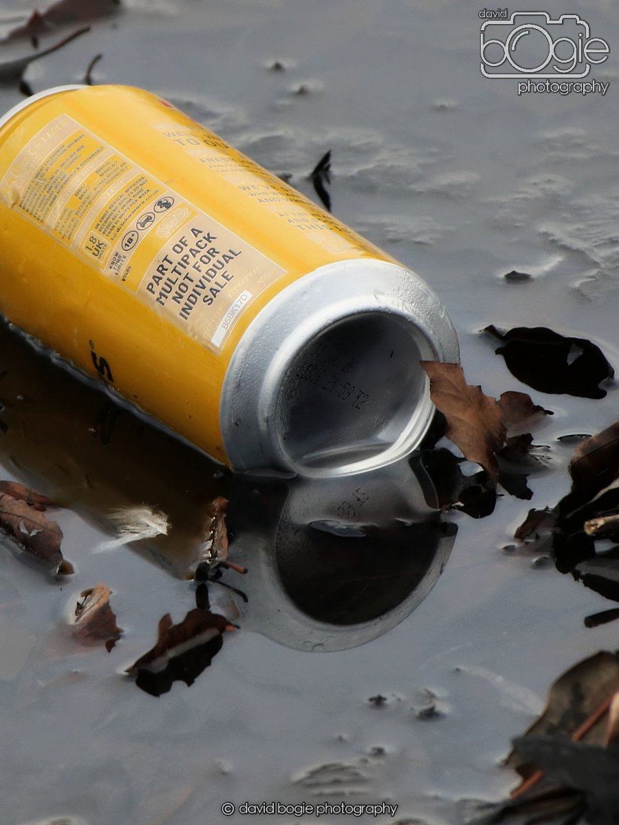 20260114 121903 Beveridge Park 0097.JPG