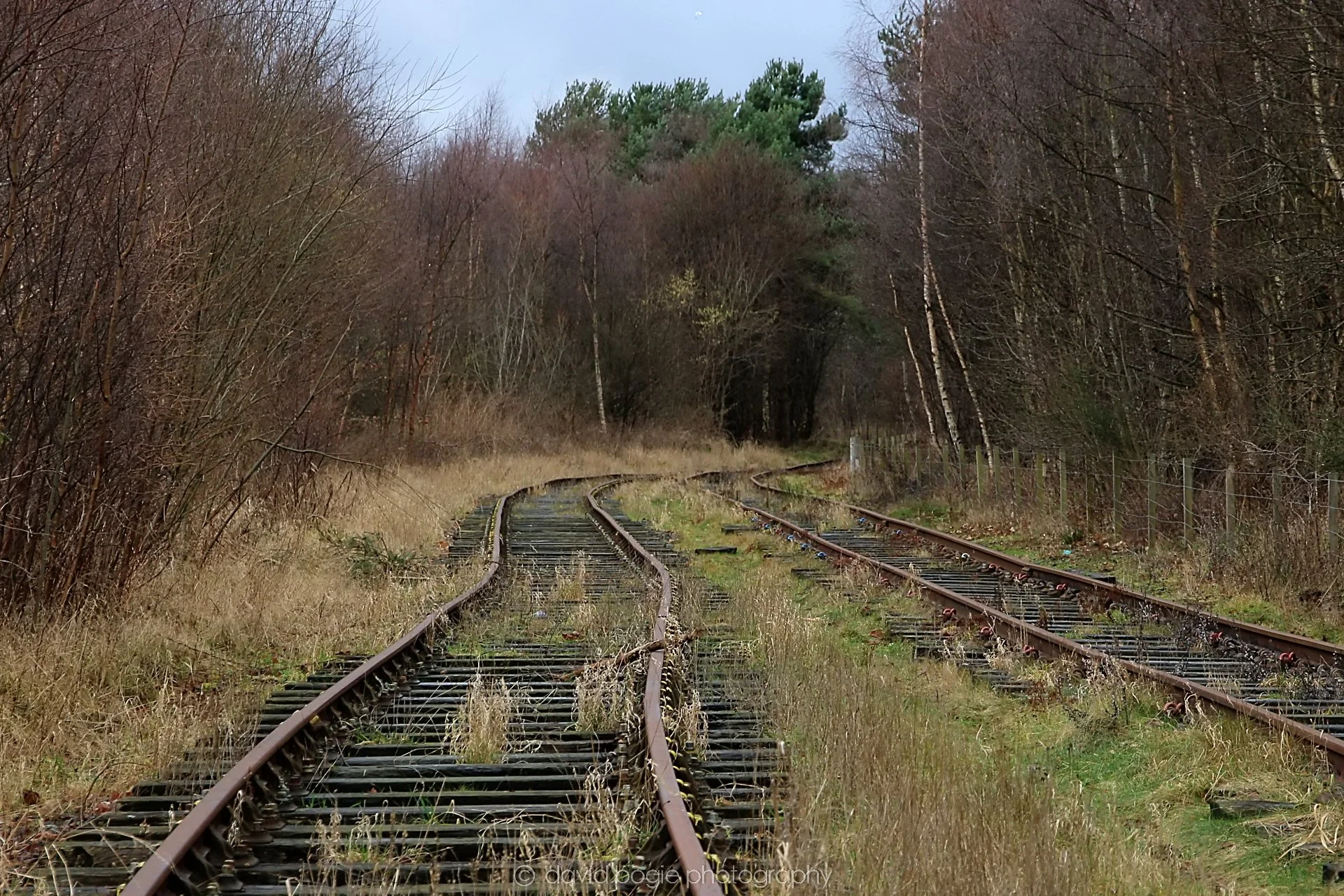 YEAR20220202 Levenmouth 00023.jpg