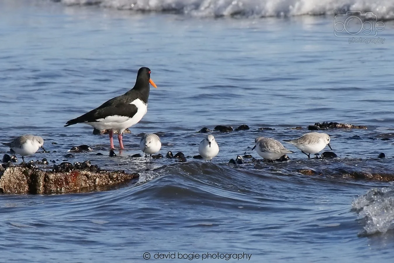 20260307 110953 Kirkcaldy 0024.jpg