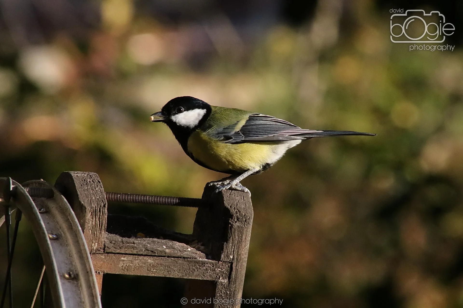 20251125 141242 Silverburn 0637.JPG