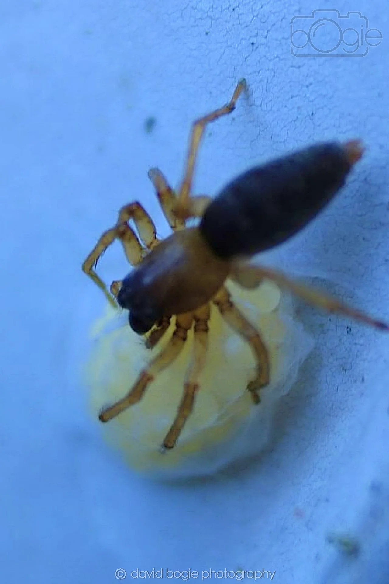 20190626 Cardenden 0001.jpg