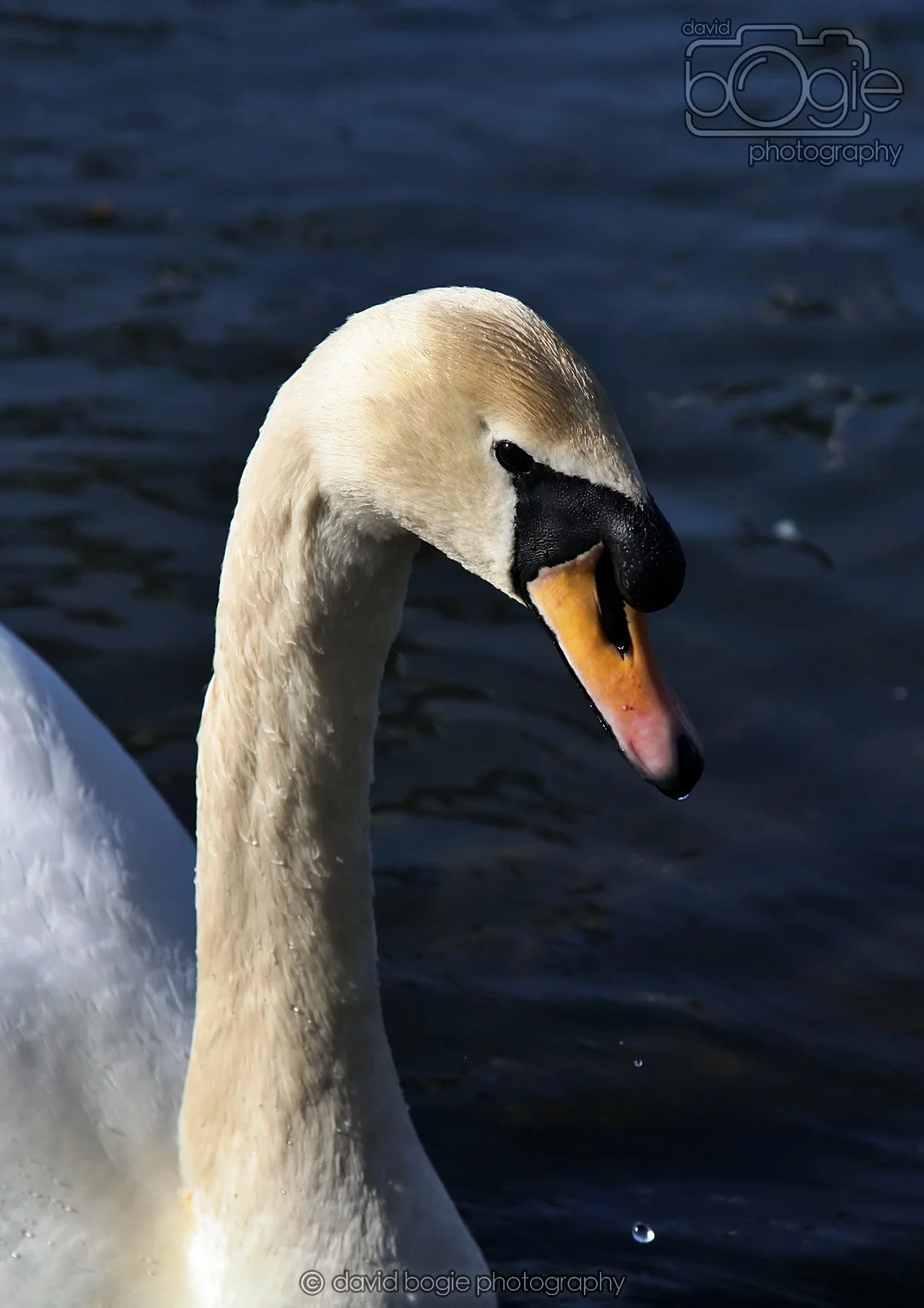 20260319 132354 Beveridge Park 0202.jpg