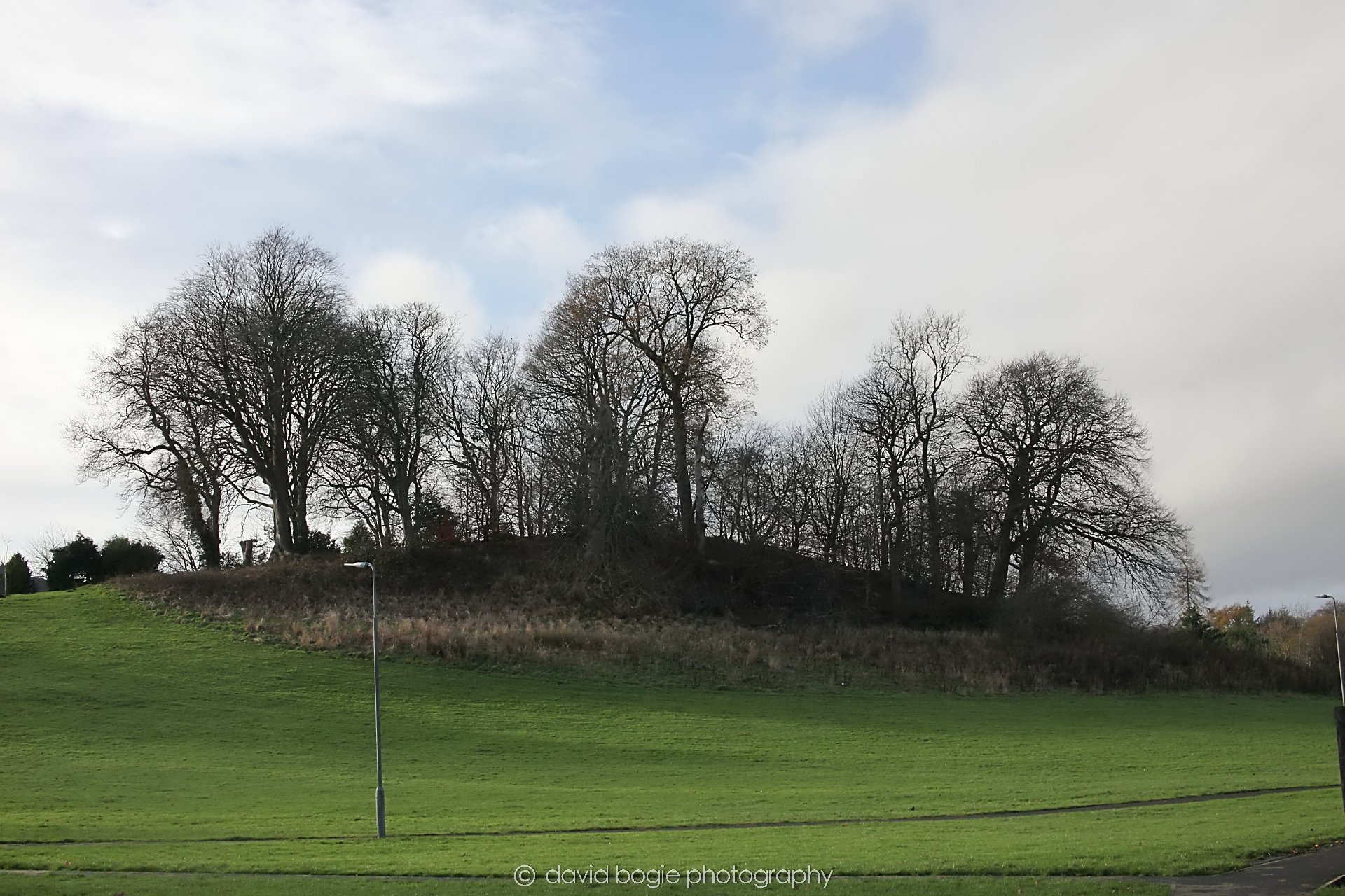 YEAR20251205 122832 East Calder 0035.jpg