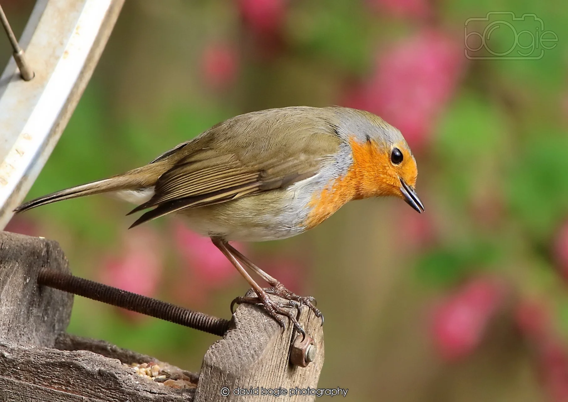 20260326 120843 Silverburn 0430.jpg