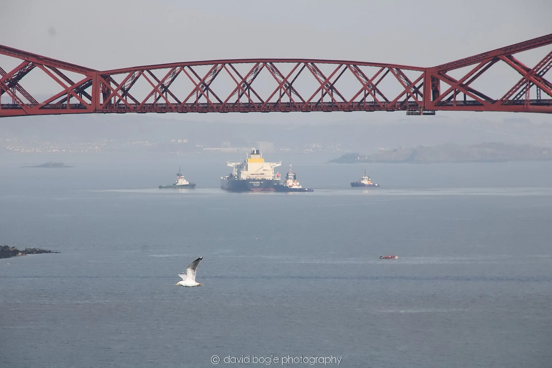 YEAR20250319 133842 Forth  Bridge 0066.jpg