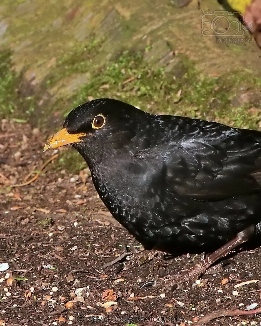 20260128 125057 Dunnikier 0071.jpg