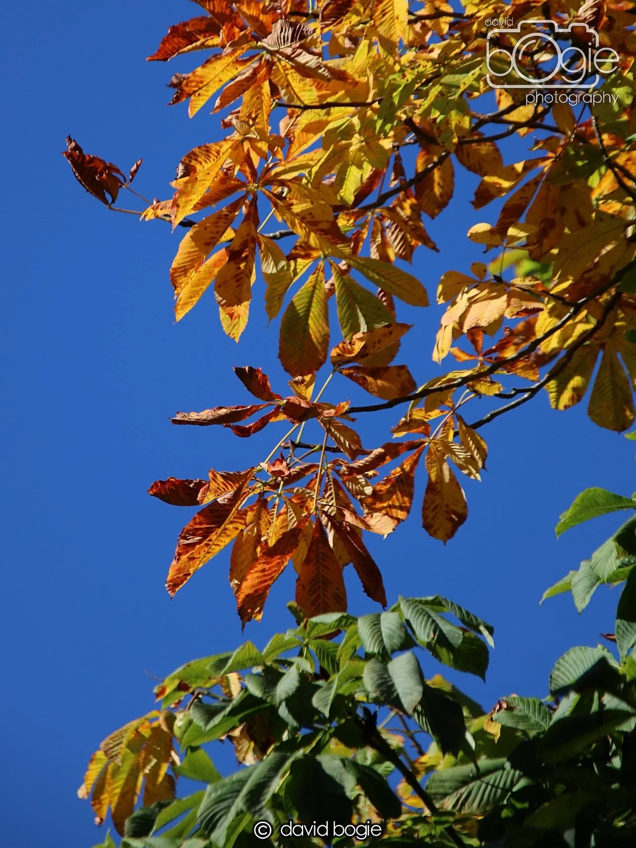 20240918 110407 Beveridge 0081.JPG