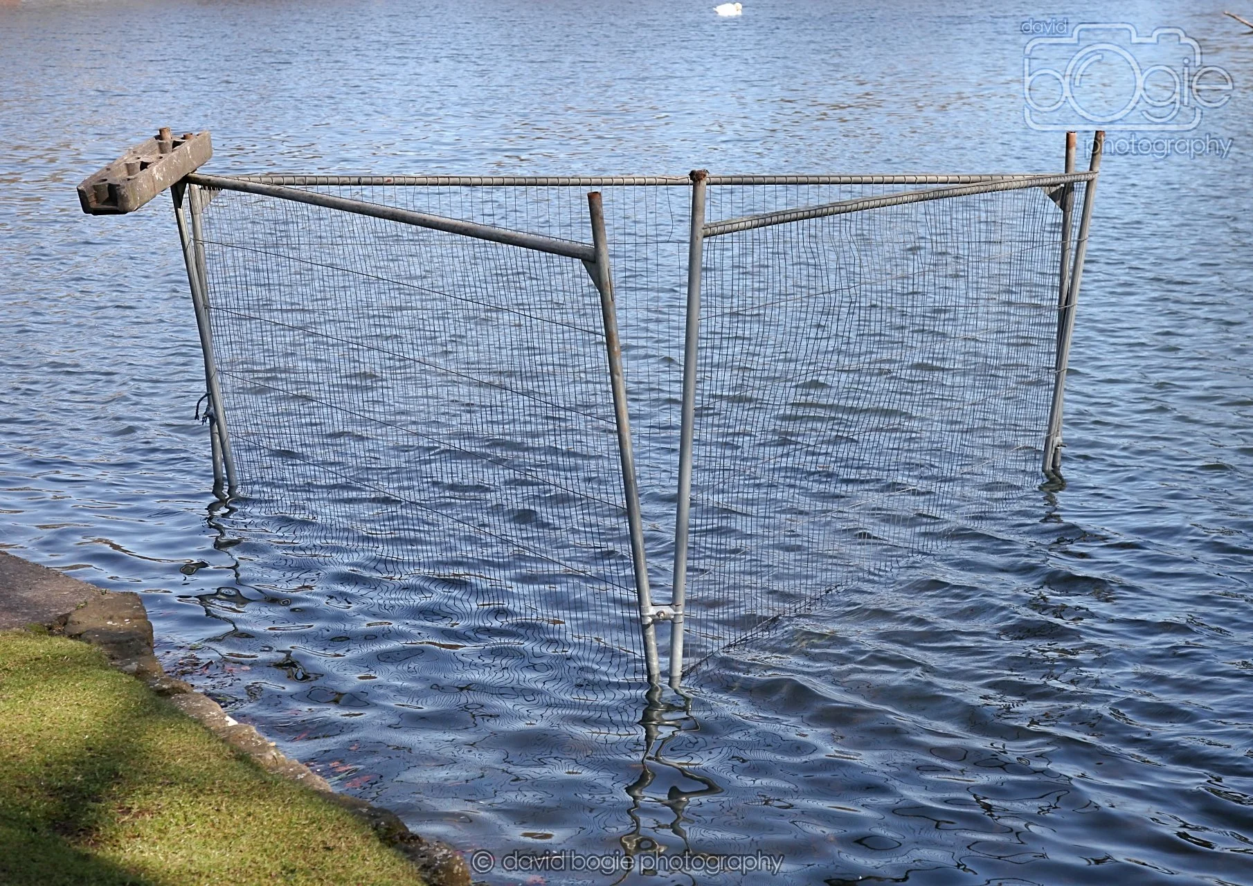 20260319 114700 Beveridge Park 0126.jpg