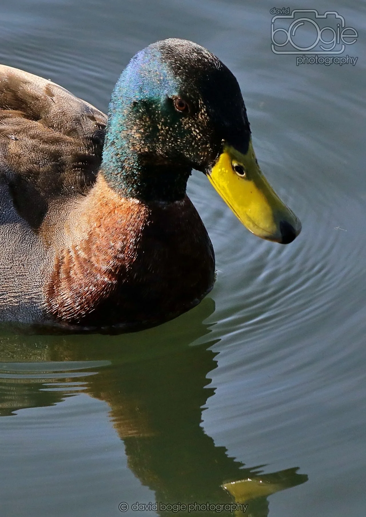 20260319 132913 Beveridge Park 0437.jpg