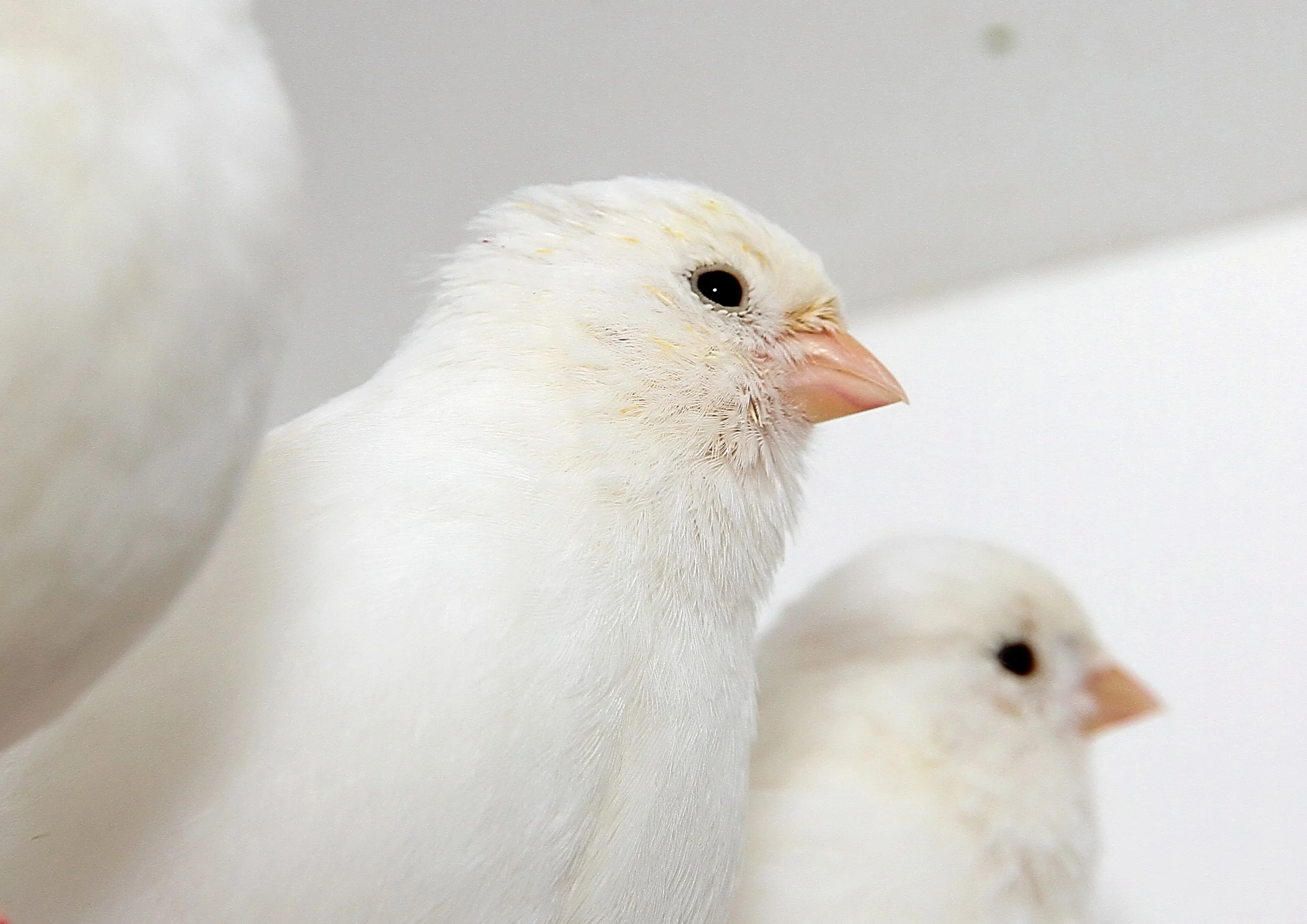 20260331 111736 K&S 0442.jpg