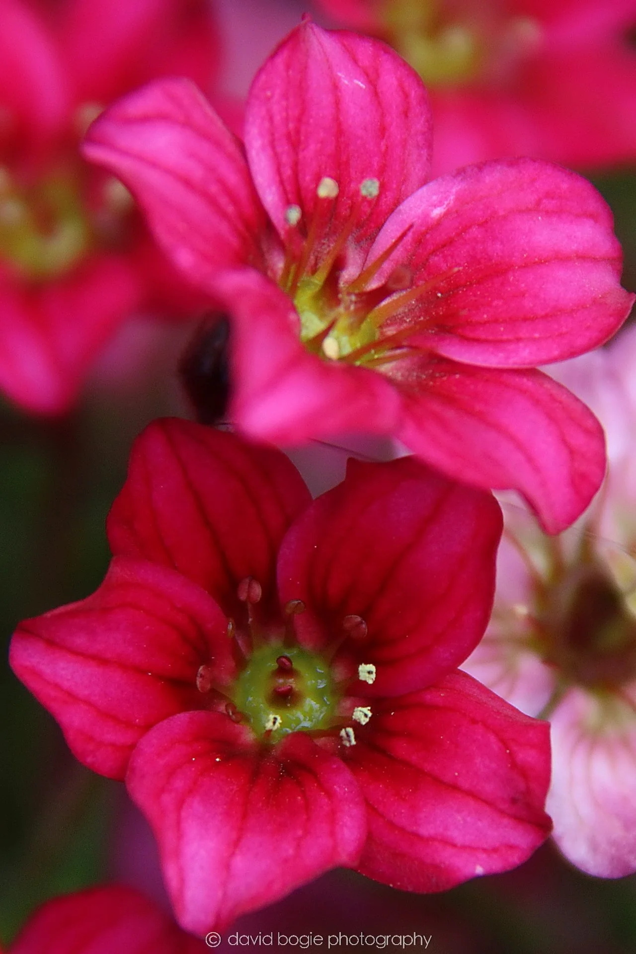 YEAR20230416 Dunnkier 0011.jpg