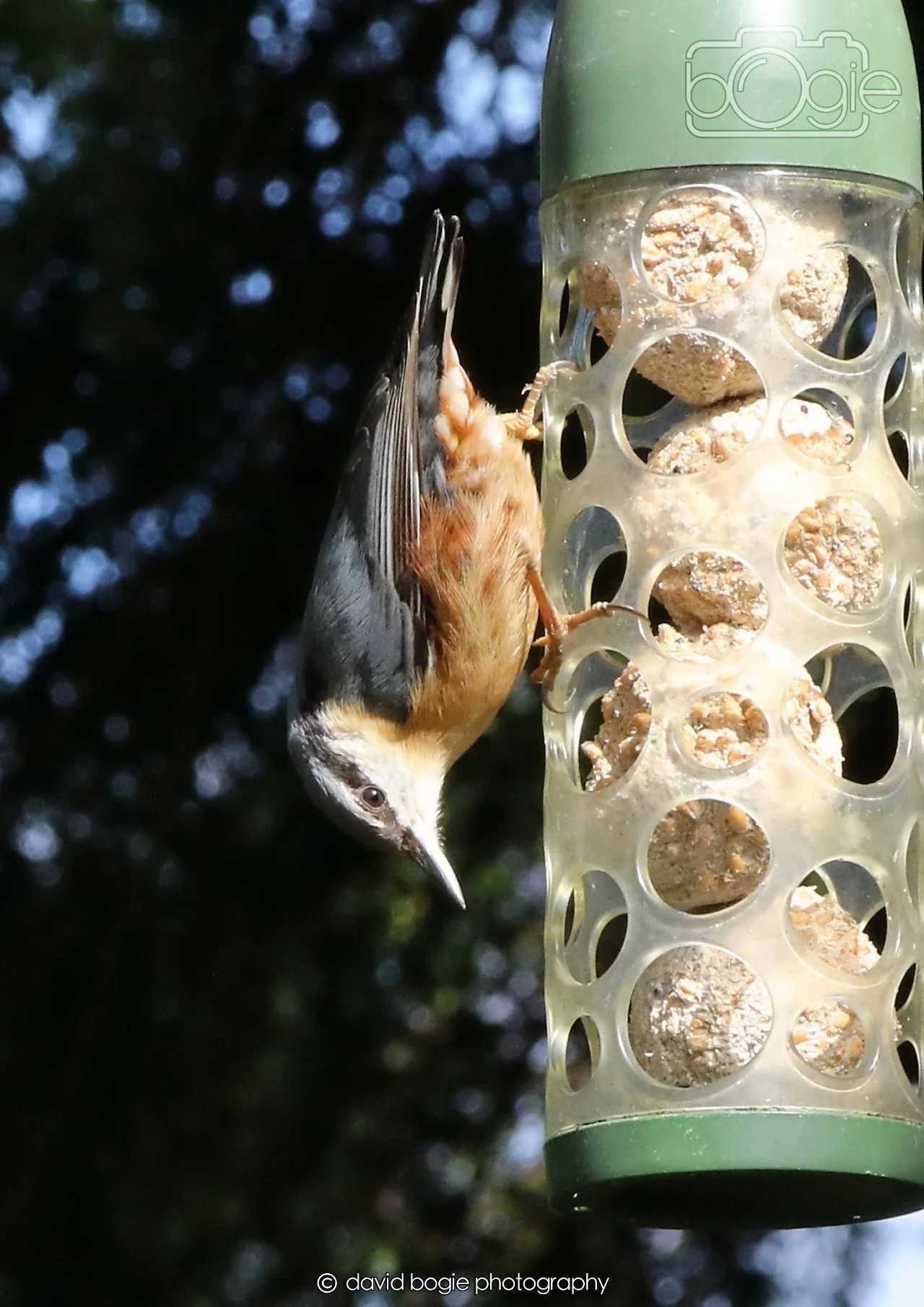 20260330 115205 Dunnikier 0241.jpg