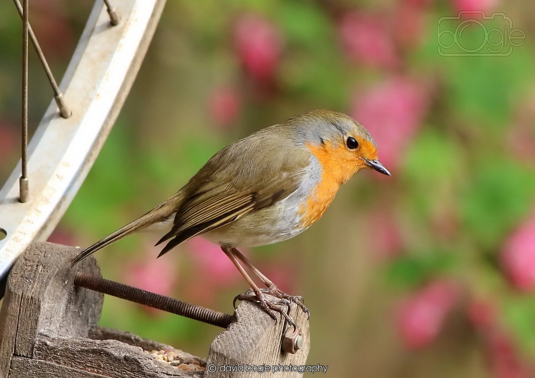 20260326 120842 Silverburn 0429.jpg