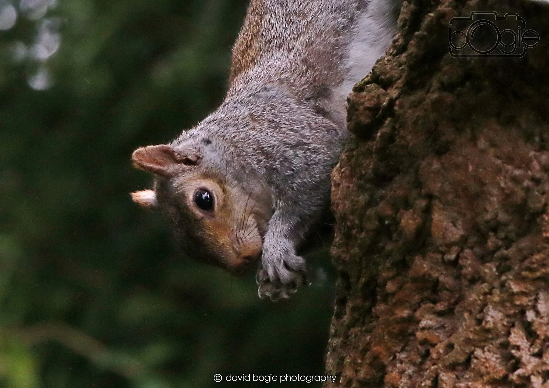 20260403 130614 Dunnikier 0382.jpg