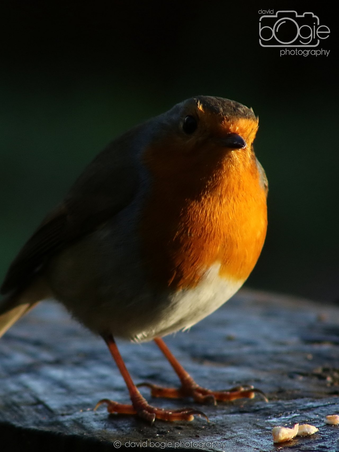 20251125 142937 Silverburn 0735.JPG