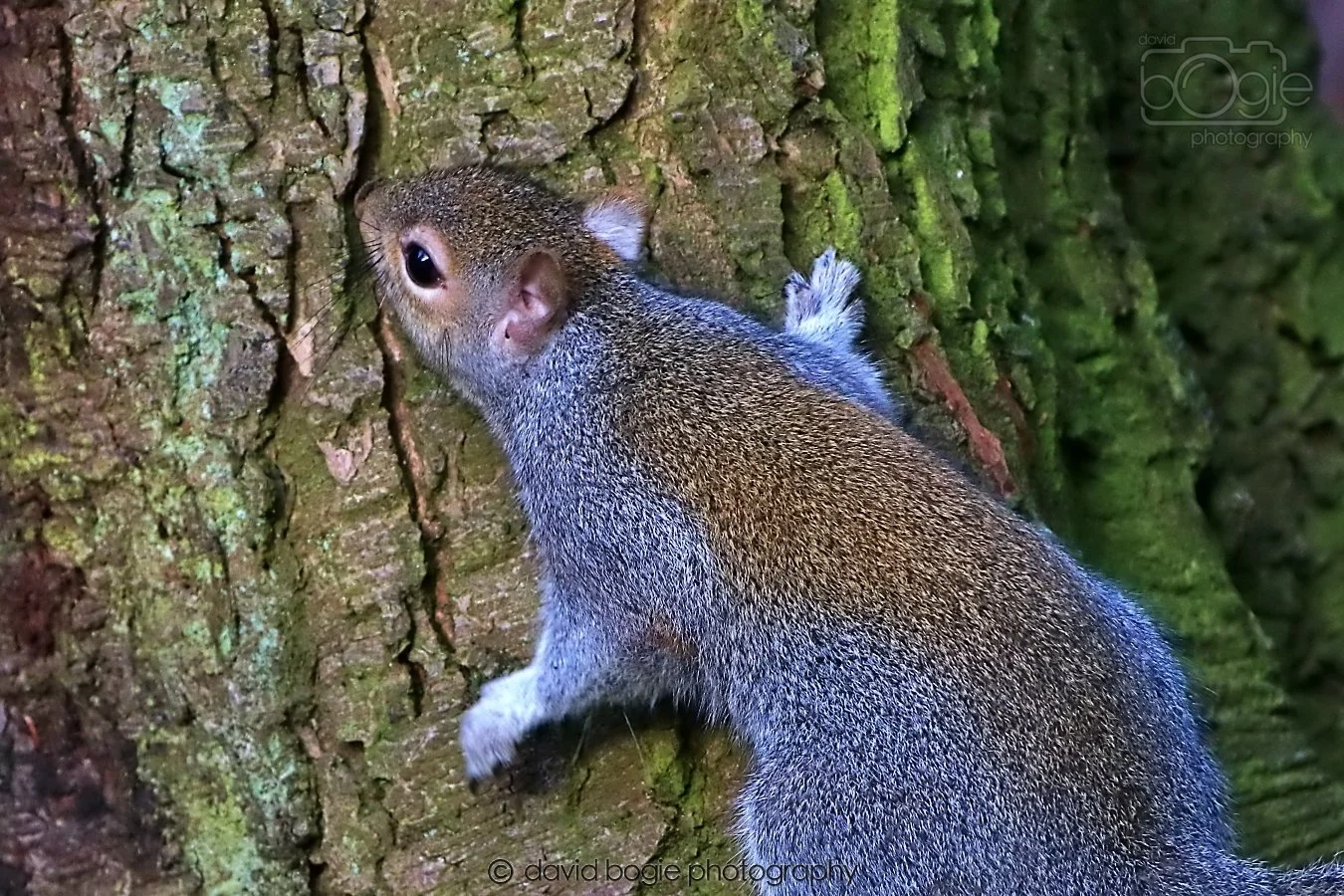 20260128 142554 Dunnikier 0366.jpg