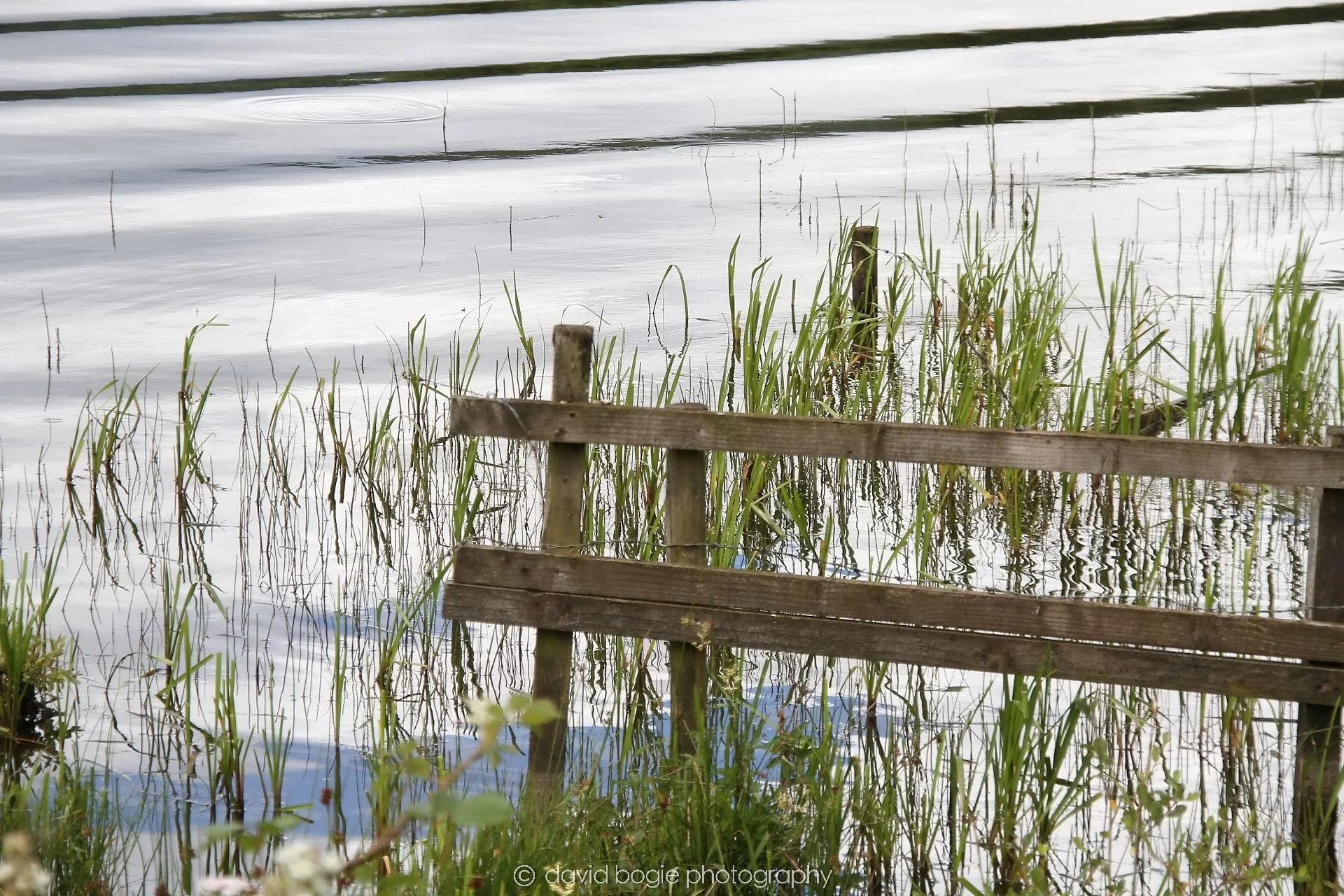YEAR20240706 131327 Lochore Meadows 0006.jpg