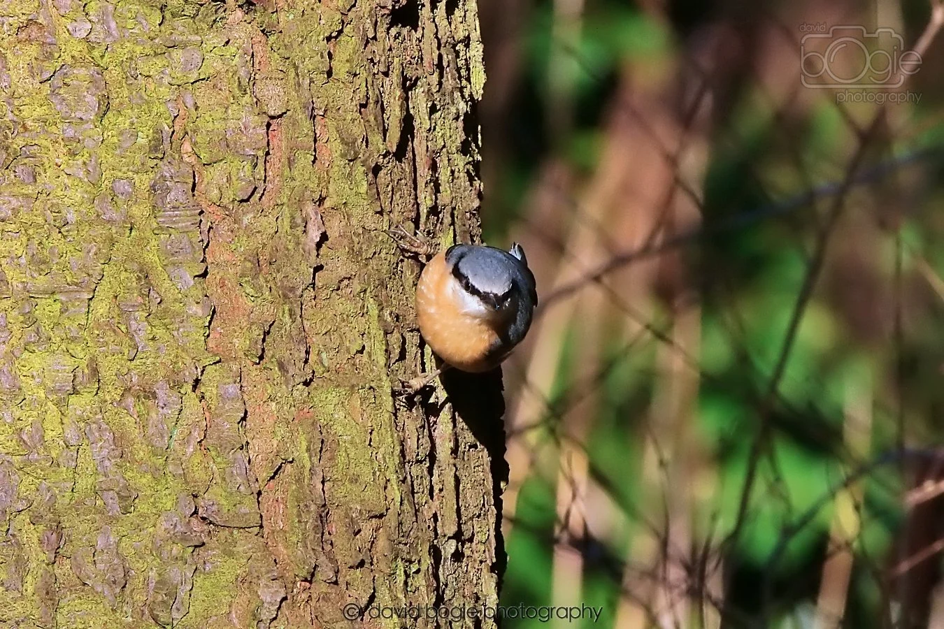 20260128 125115 Dunnikier 0075.jpg