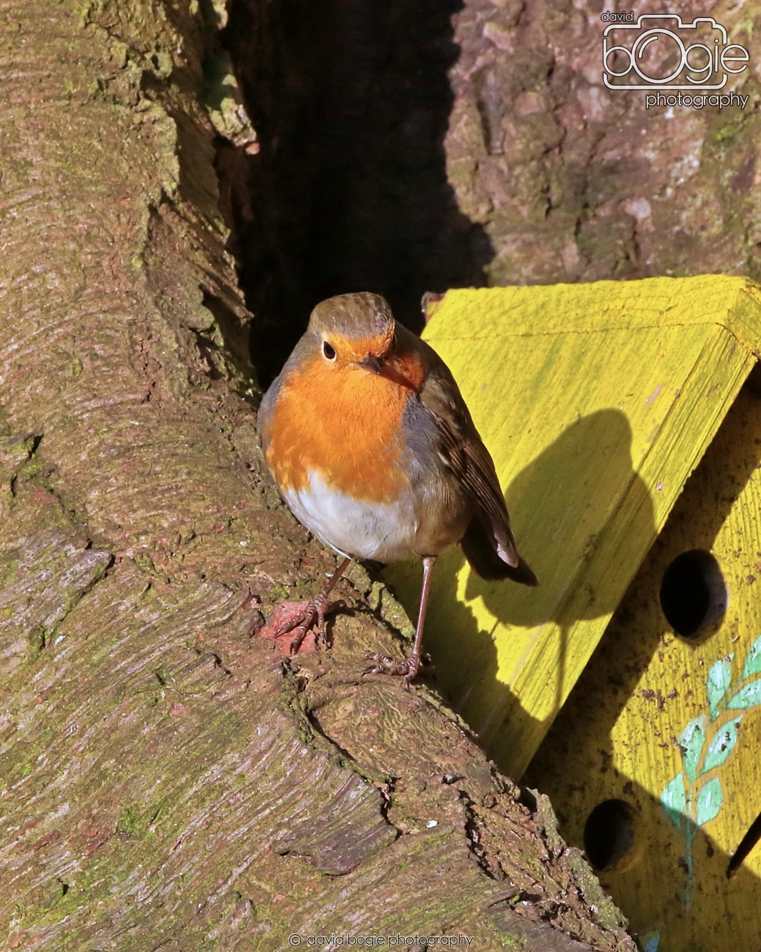 20260128 134016 Dunnikier 0249.JPG