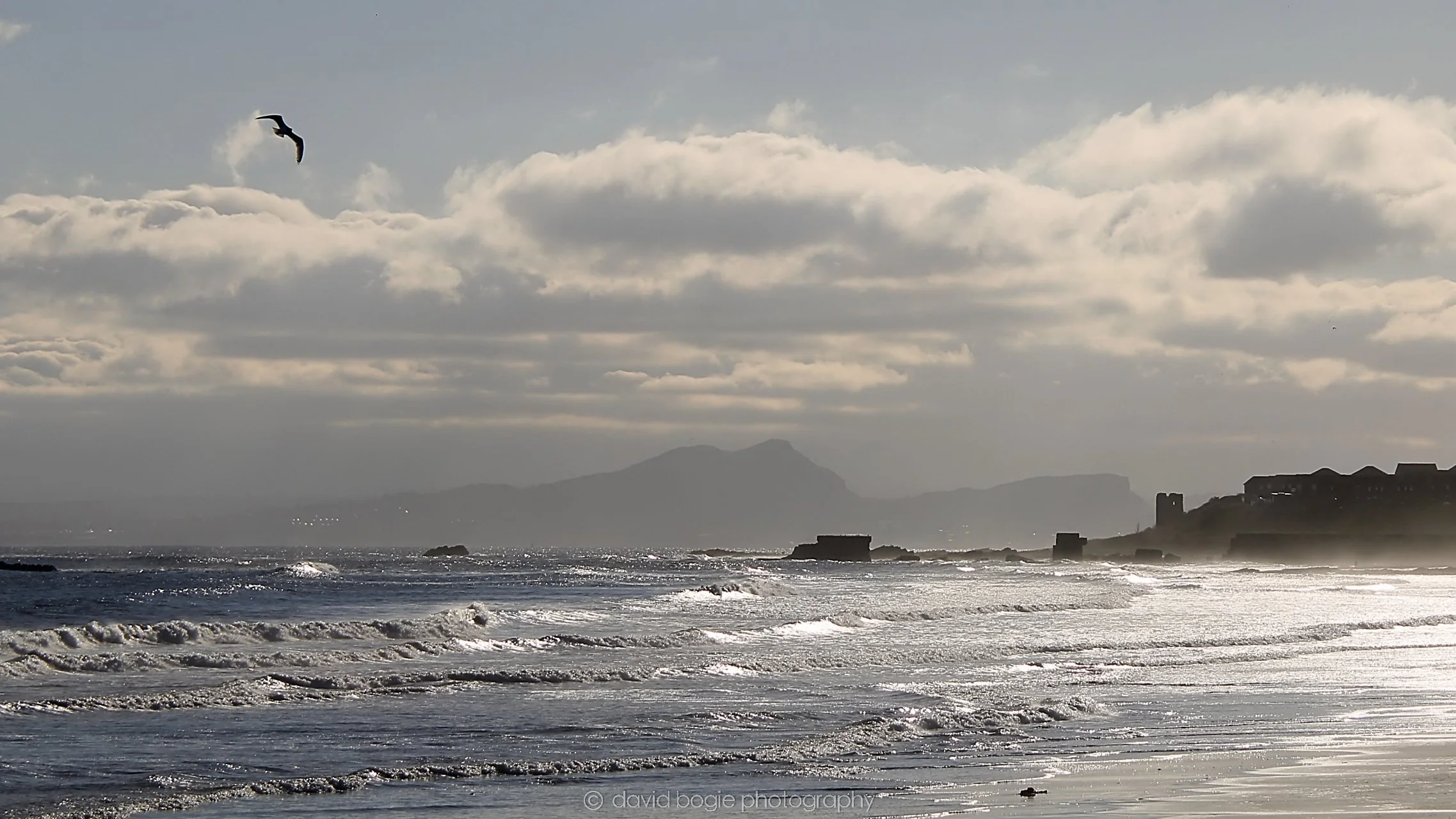 YEAR20221116 Kirkcaldy 5 .jpg