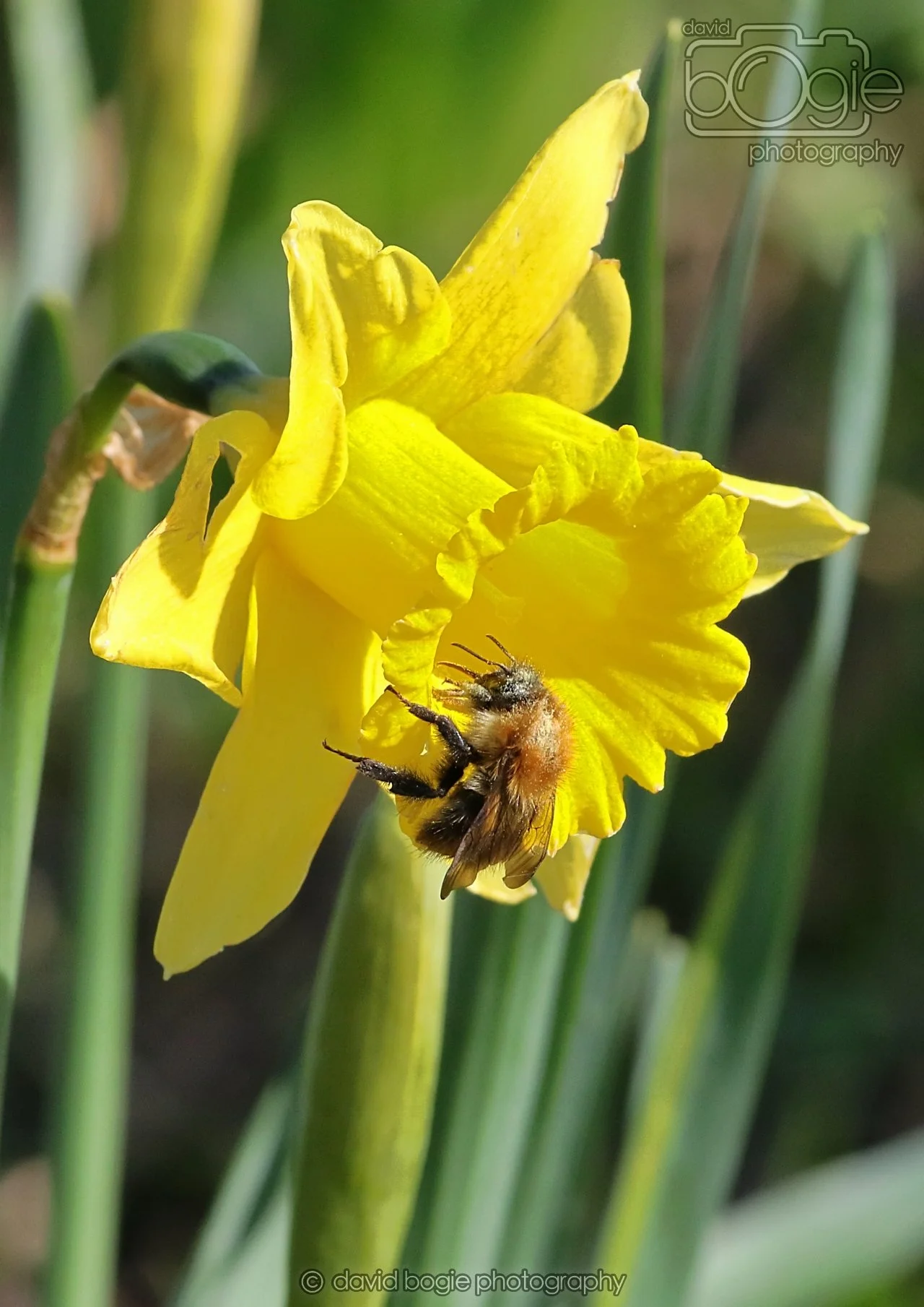 20260319 115407 Beveridge Park 0203.jpg