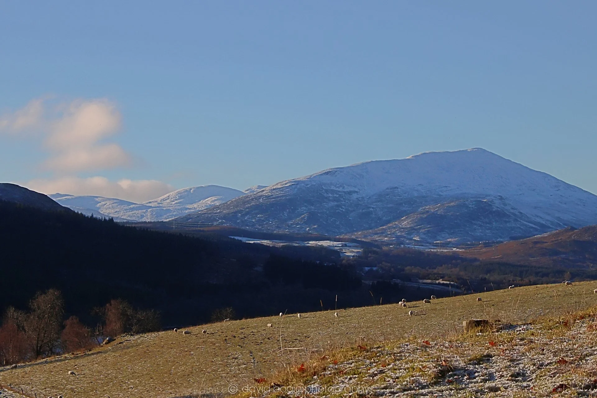 YEAR20221215 00007 Aberfeldy.jpg
