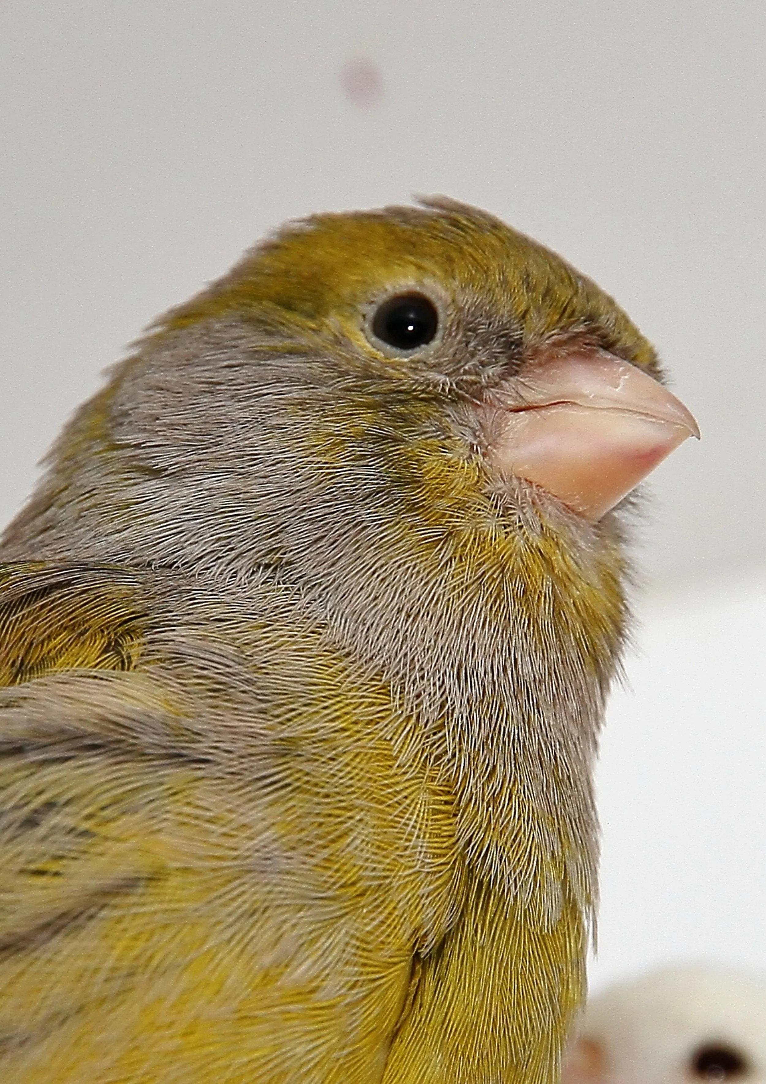 20260331 111809 K&S 0460.jpg