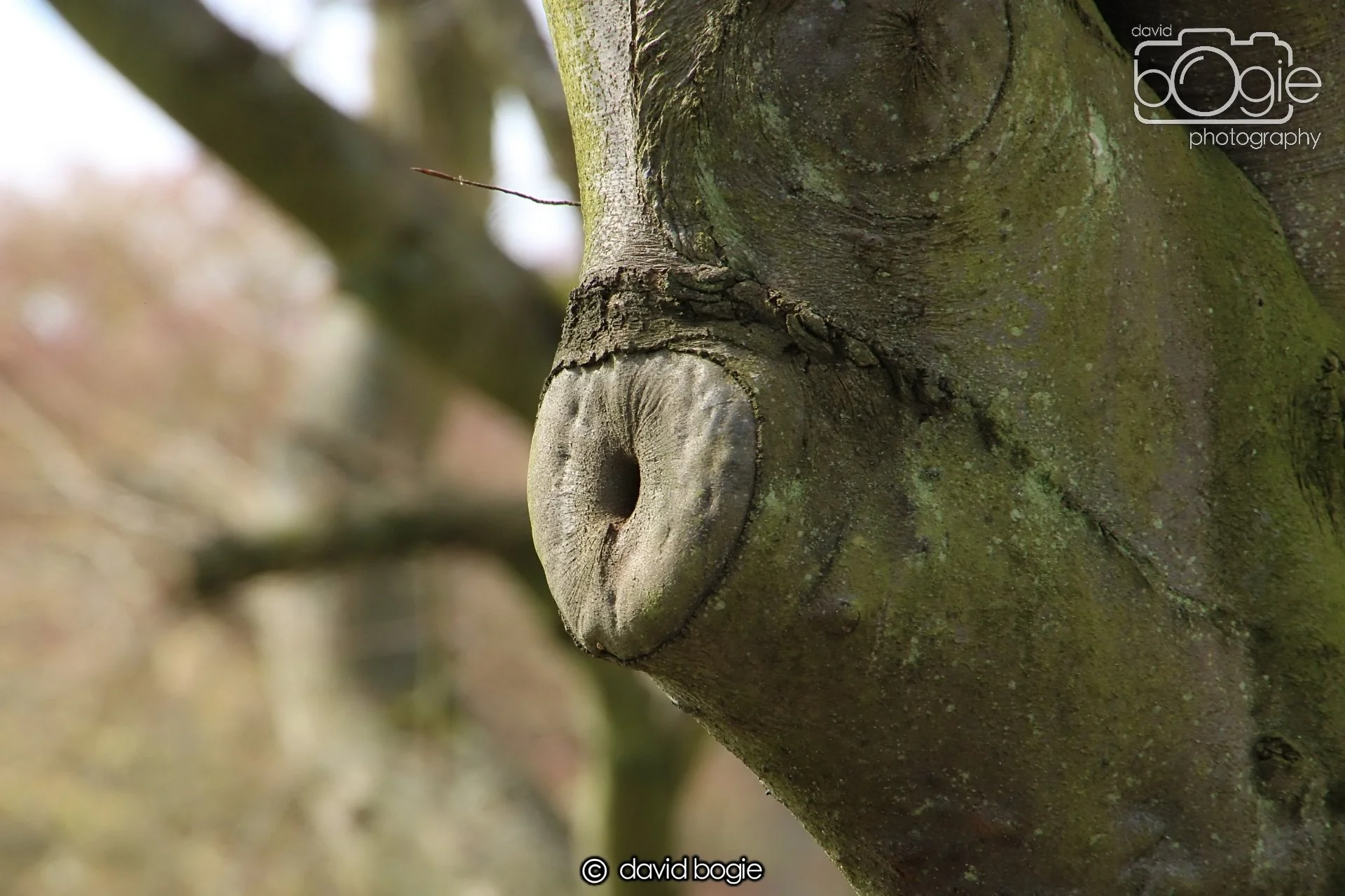 20240423 110040 Beveridge 0016.JPG