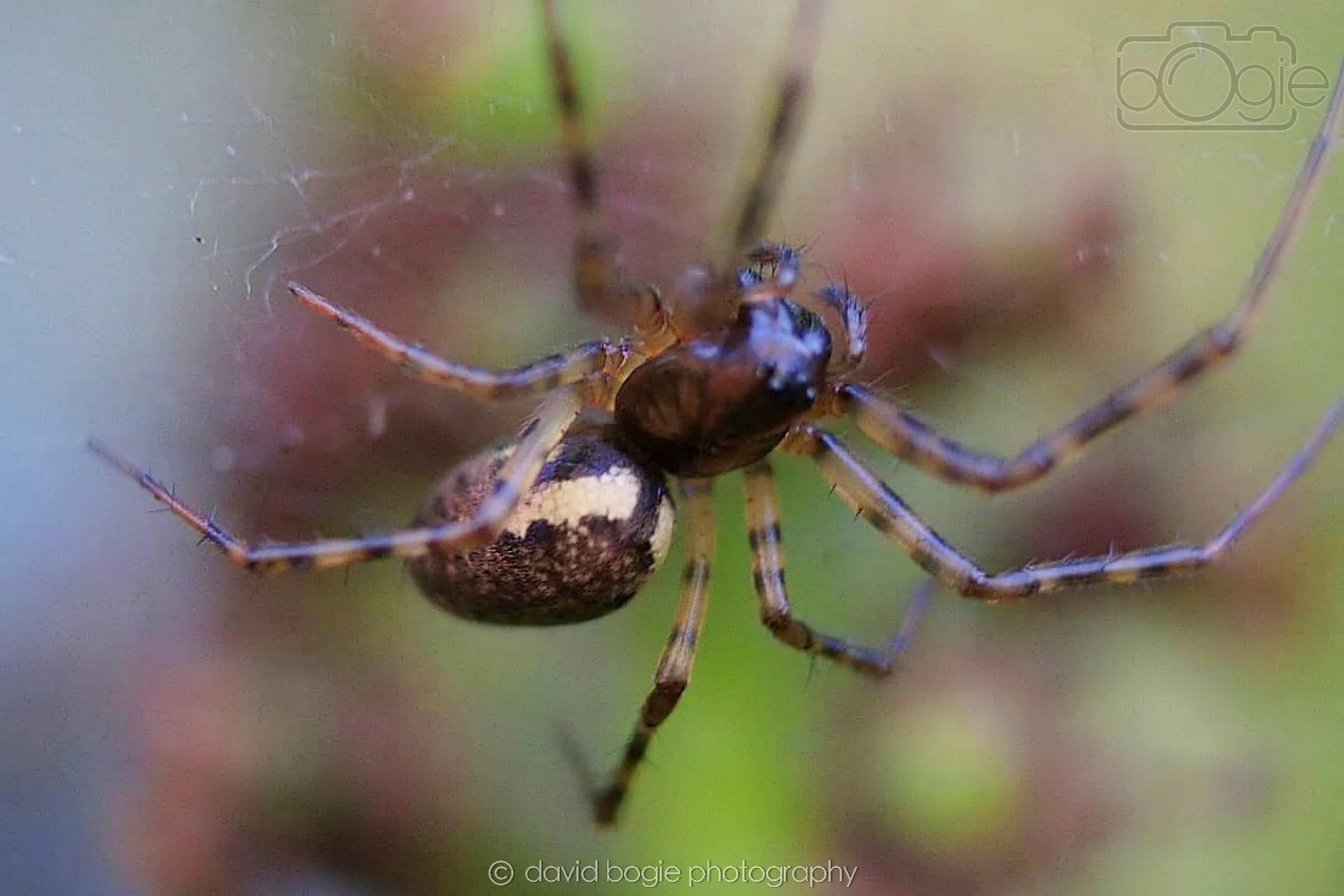 20190626 Cardenden 0004.jpg