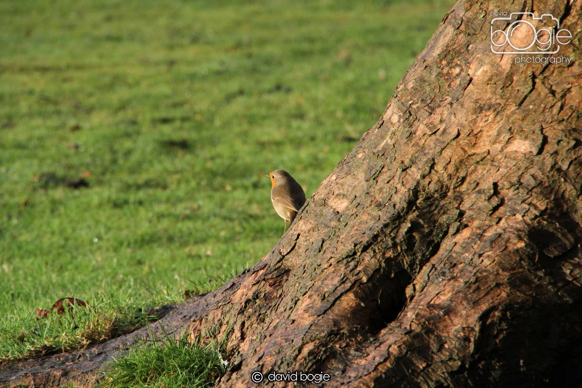 20240102 135559 021 Beveridge.jpg