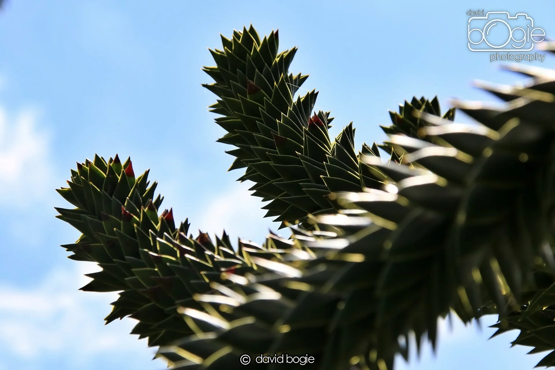 20250505 134026 Beveridge Park 0958.JPG