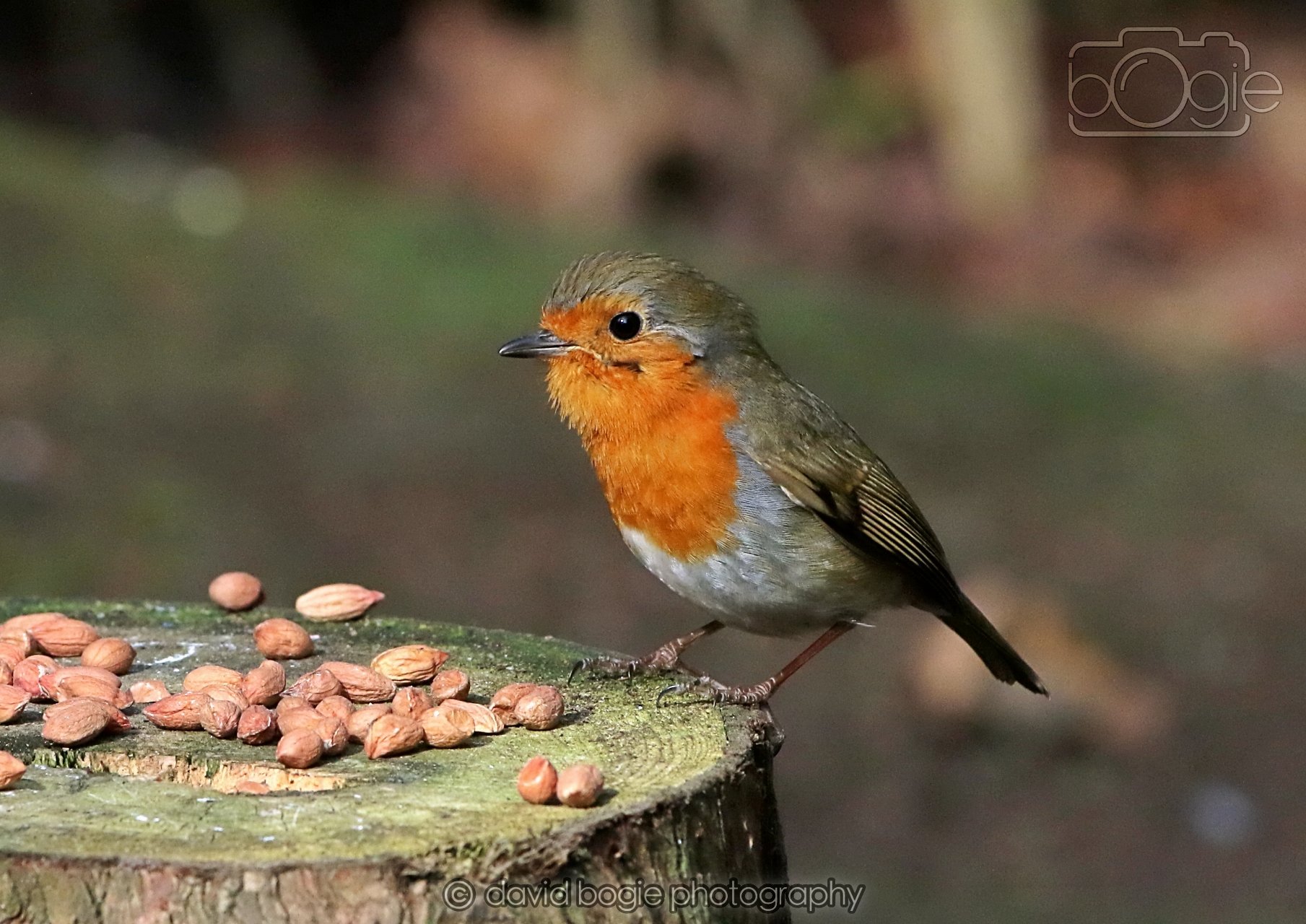 20260322 143335 Dunnikier 0019.jpg