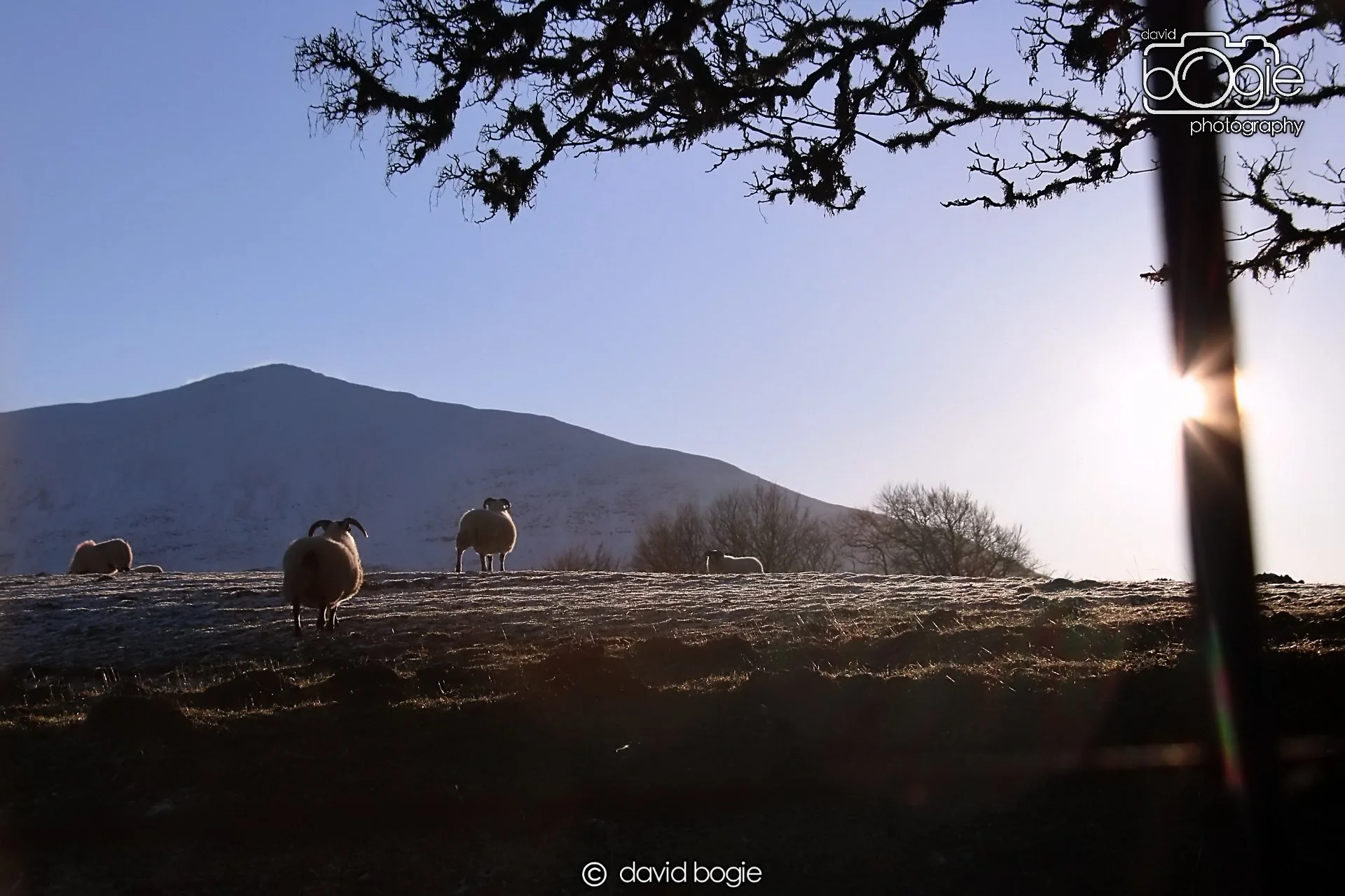 20221215 00239 Aberfeldy.JPG