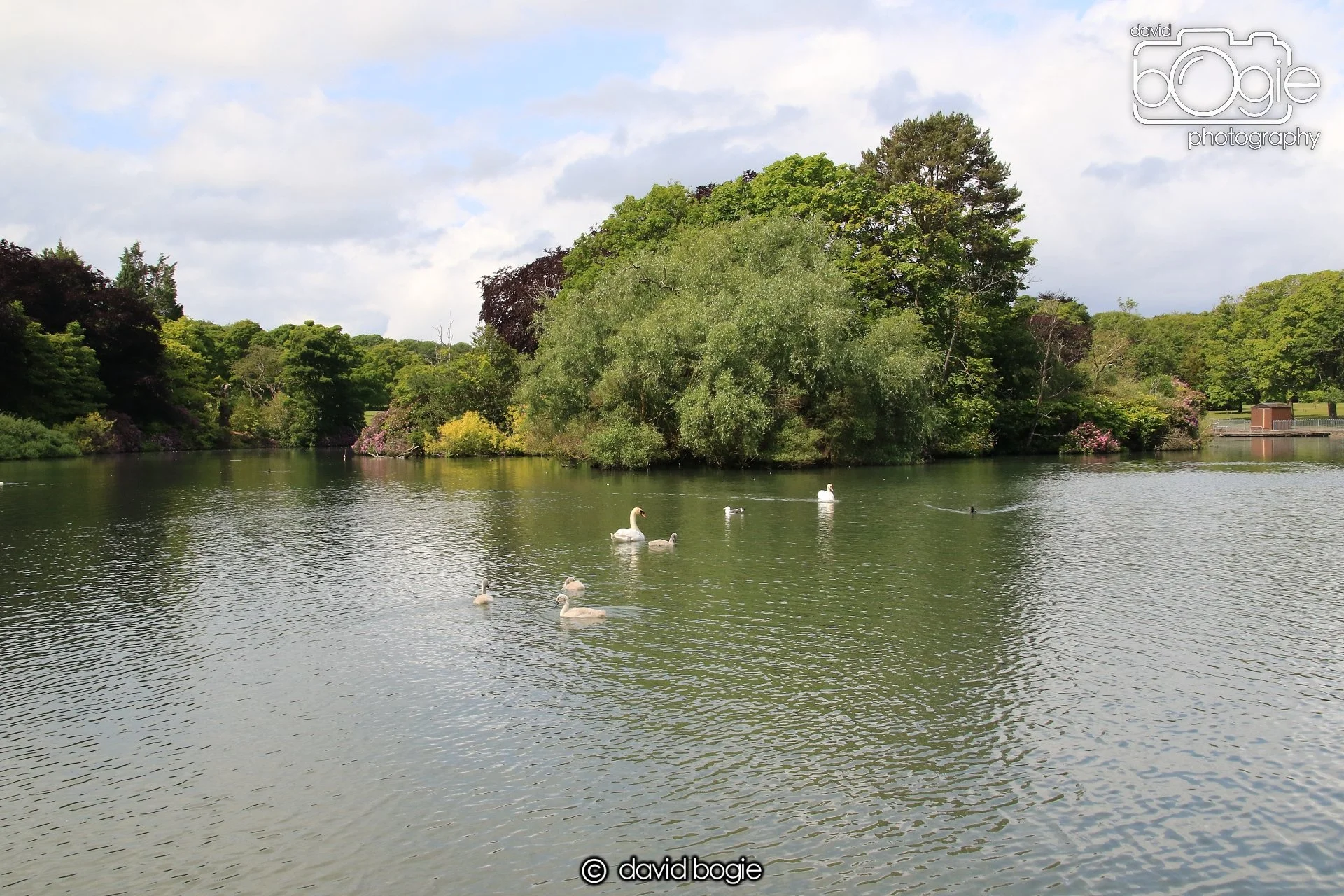 20250613 114809 Beveridge 0033.JPG