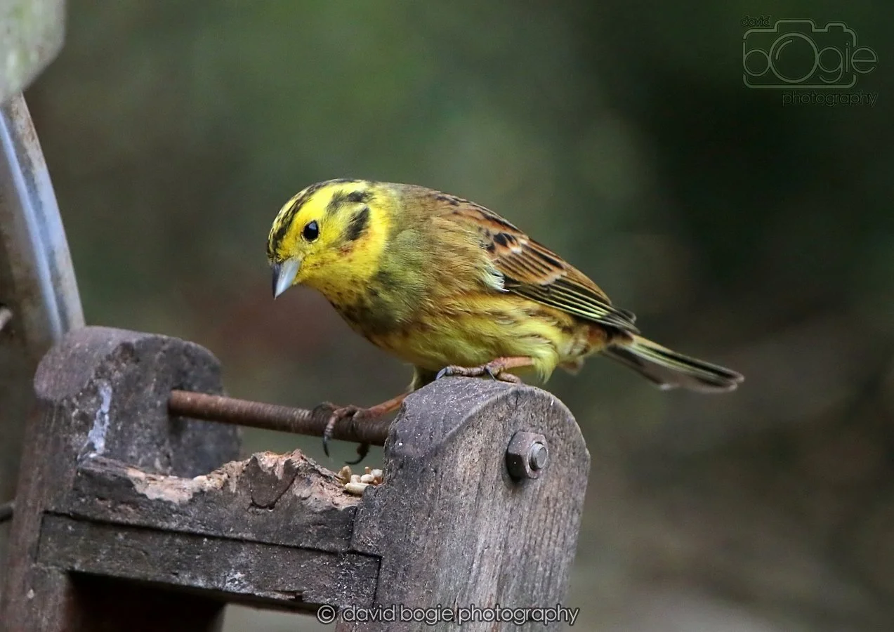 20260215 132435 Silverburn 0138.jpg