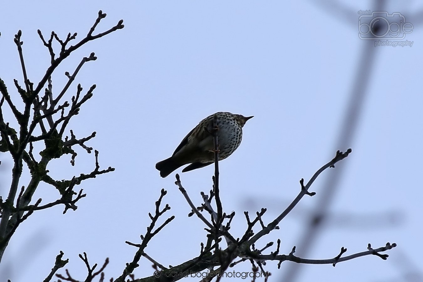 20260306 090602 Dunnikier 0002.jpg