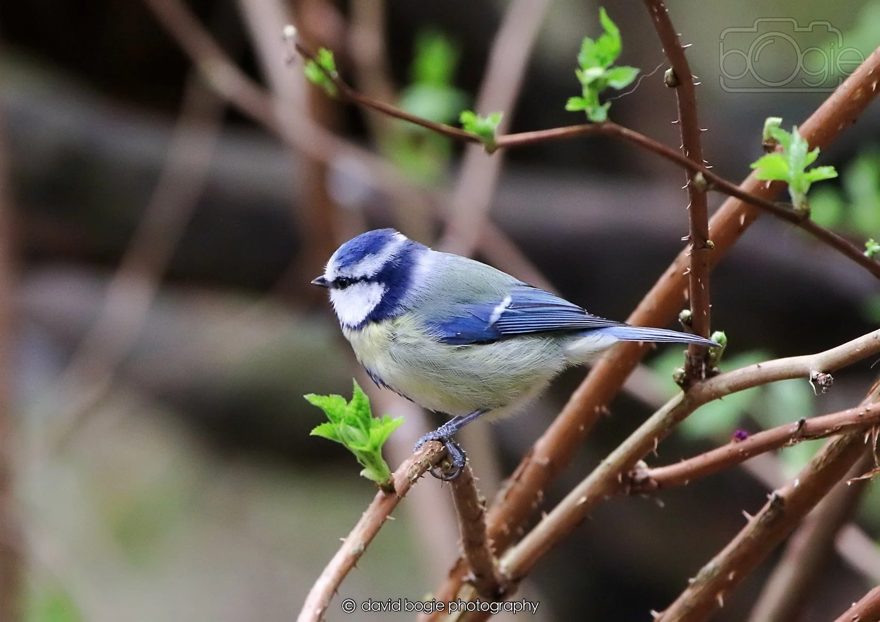 20260326 112515 Silverburn 0126.jpg